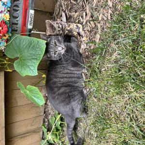 Lost 2 Blue (Washington)