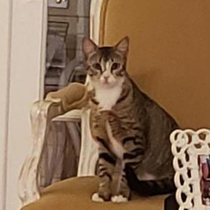 Lost 2 Little Princess (FL)