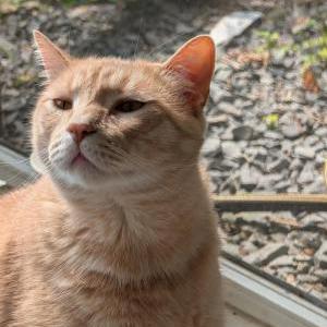 Lost 2 Winston (New York)