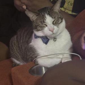 Lost 2 Pik Oshodi (California)
