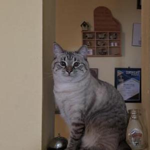 Lost 2 mimi (California)