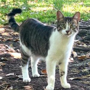 Lost 2 Luka (California)