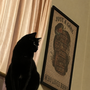 Image of Pepper, Lost Cat