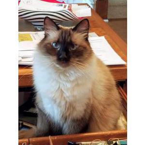 Lost 2 Missy (Indiana)