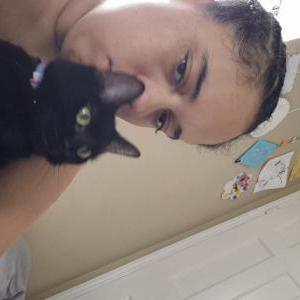 Image of Midnight, Lost Cat