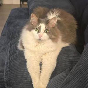 Lost 2 Hunter (Texas)
