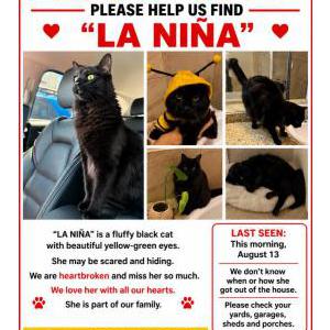 Lost 2 La niña (Colorado)