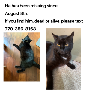 Image of Moonstone, Lost Cat