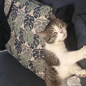 Lost 2 Charlie (Washington)