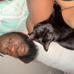 Image of Naomi, Lost Cat
