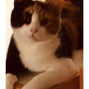 Lost 2 Rosie (Maryland)