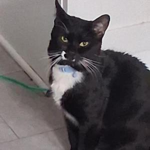 Lost 2 Nayna (Ohio)