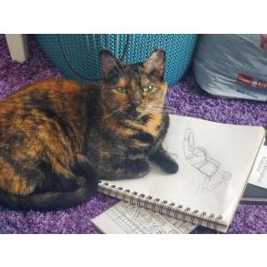 Image of Greenland, Lost Cat