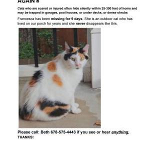 Image of Francesca, Lost Cat