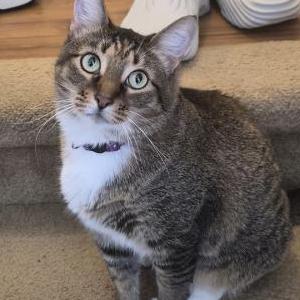 Lost 2 Mama (Florida)