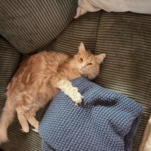 Lost 2 Butters Rushing (Louisiana)