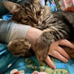 Lost 2 Zeus (Massachusetts)