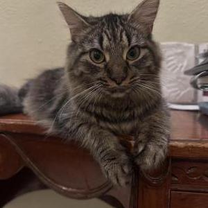 Lost 2 Nimbus (Virginia)