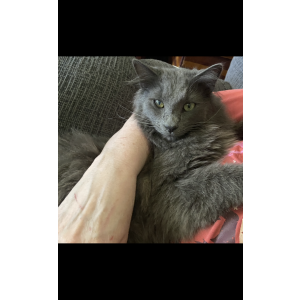 Lost 2 Smokey (Virginia)