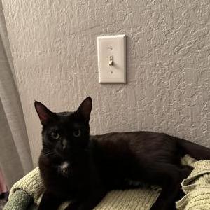 Lost 2 Benito (California)