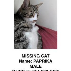 Lost 2 Paprika (Florida)