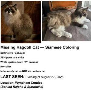 Lost 2 Gryffin (California)