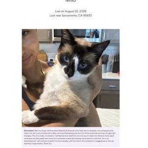 Lost 2 Milo (California)