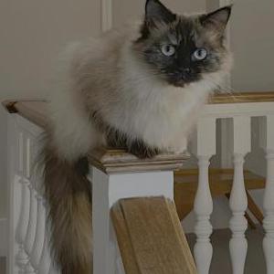 Lost 2 Poohey (New York)