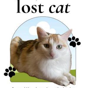 Image of bella, Lost Cat