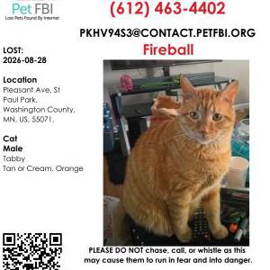 Lost 2 Fireball (Minnesota)