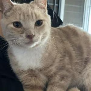 Lost 2 Booger (California)