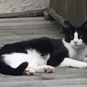 Lost 2 Buddy (PA)
