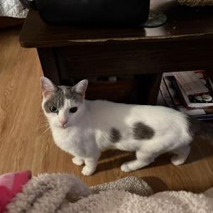 Lost 2 Poe (Texas)
