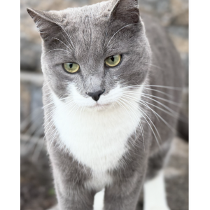 Lost 2 Link (Pennsylvania)
