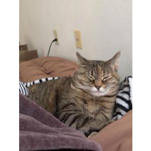 Lost 2 Shadow (Virginia)