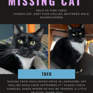 Lost 2 Theo (North Carolina)