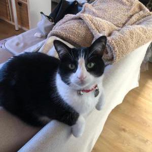 Lost 2 Jack (Florida)