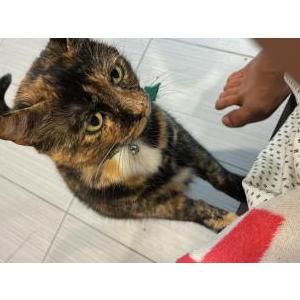 Lost 2 Mila (FL)