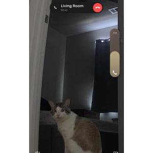 Lost 2 Cookie (Texas)