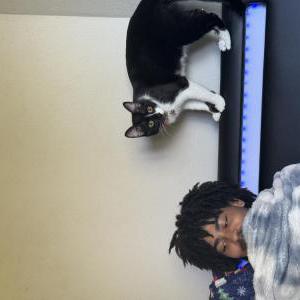 Image of foe, Lost Cat