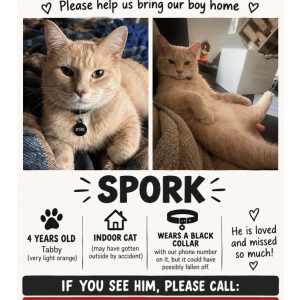 Lost Cat Spork