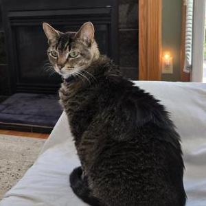 Lost 2 Junior (Ohio)