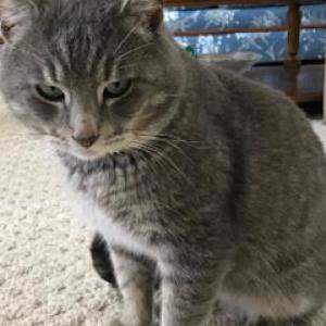 Lost 2 Ashes (Michigan)