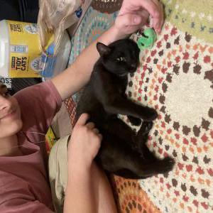 Lost 2 Maul (Tennessee)