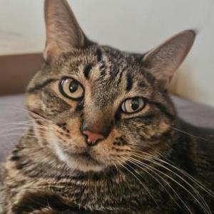 Lost 2 Bob (California)