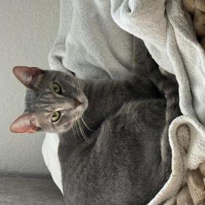 Lost 2 Jinx (Texas)
