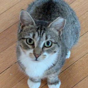 Lost 2 Omar (California)