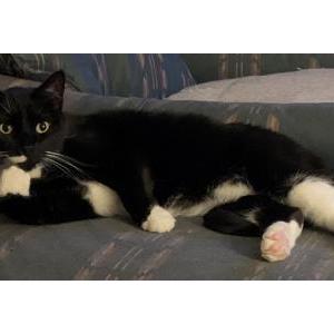 Lost 2 Spooky (Colorado)