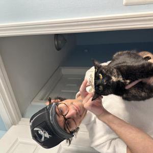 Image of Tuna, Lost Cat