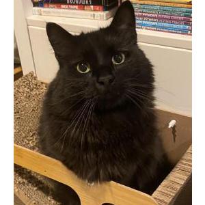 Lost 2 Whiskey (Maryland)